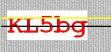 CAPTCHA code